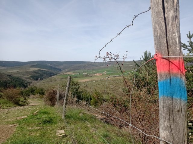 photo-2022-05-03-23-18-37 4